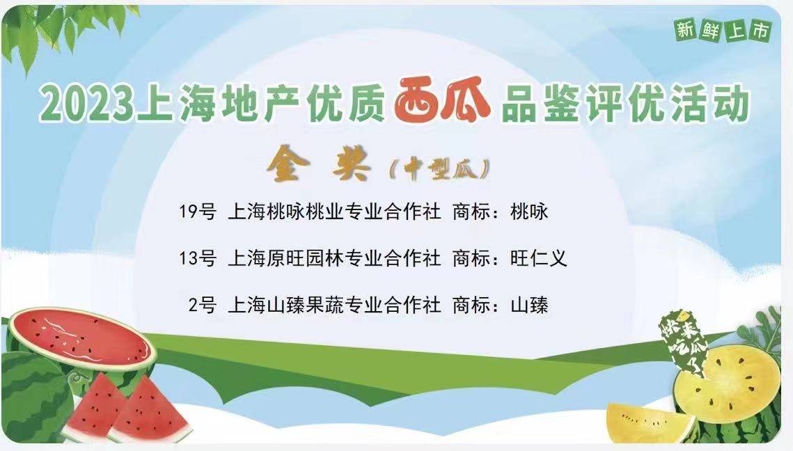 welcome皇冠注册_今年金奖西瓜出炉welcome皇冠注册,上海举办2023年上海地产优质西瓜品鉴评优和展示活动