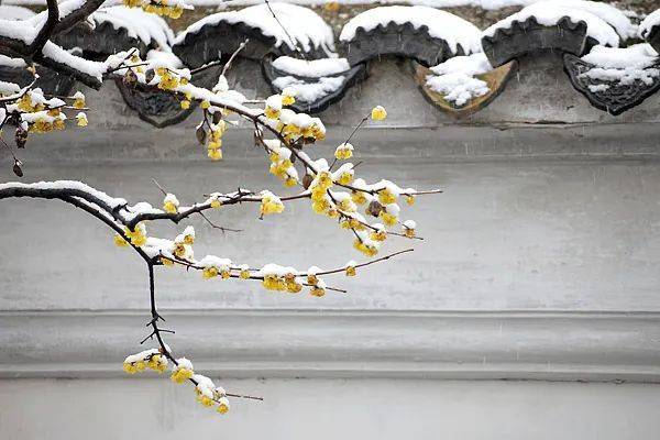 皇冠信用网怎么开户_中到大雪皇冠信用网怎么开户,局部暴雪!沈阳市安委会提示!