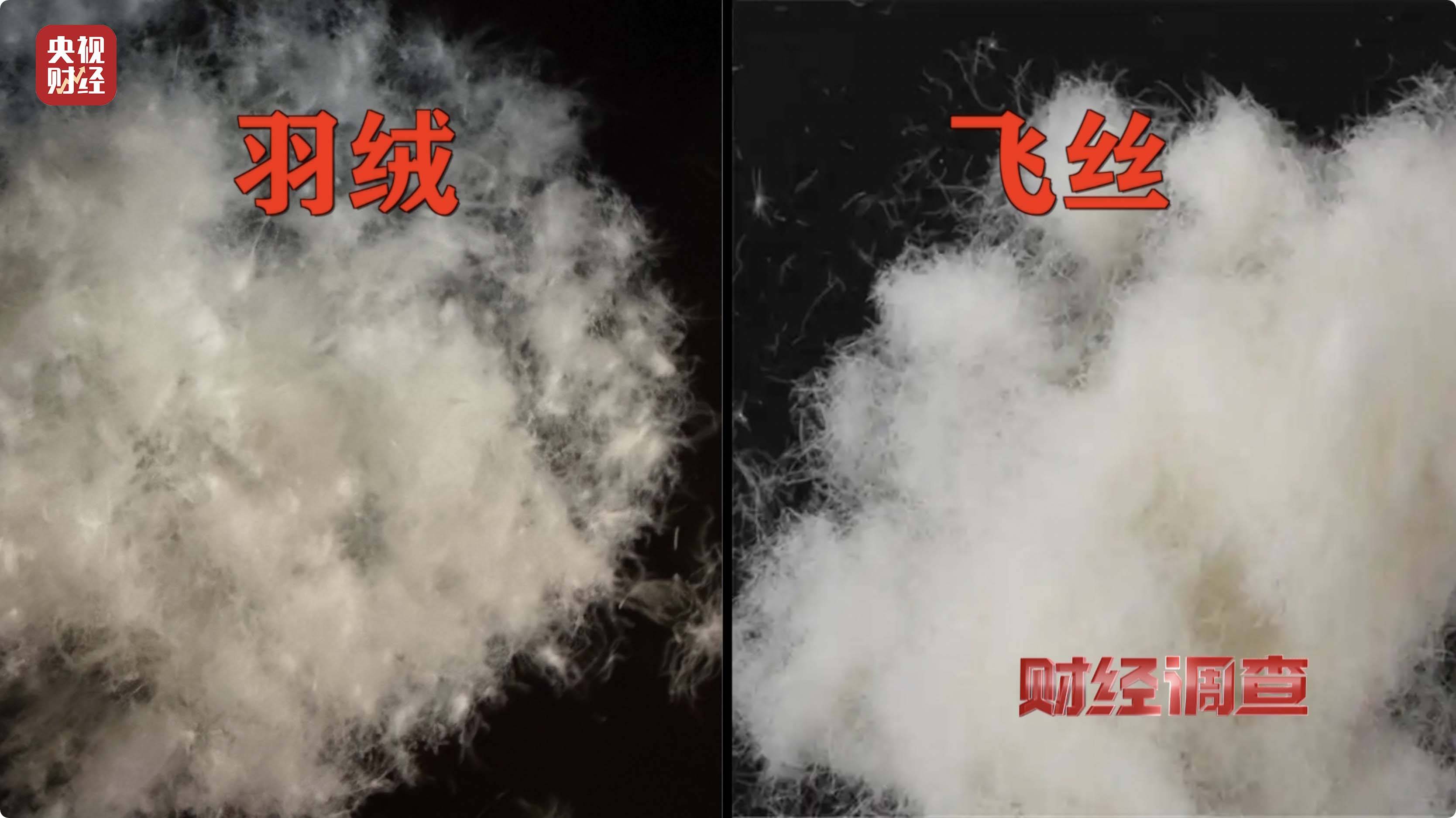 皇冠信用账号怎么开_以“丝”代“绒”皇冠信用账号怎么开,以次充好!央视《财经调查》揭开羽绒服里的骗局→