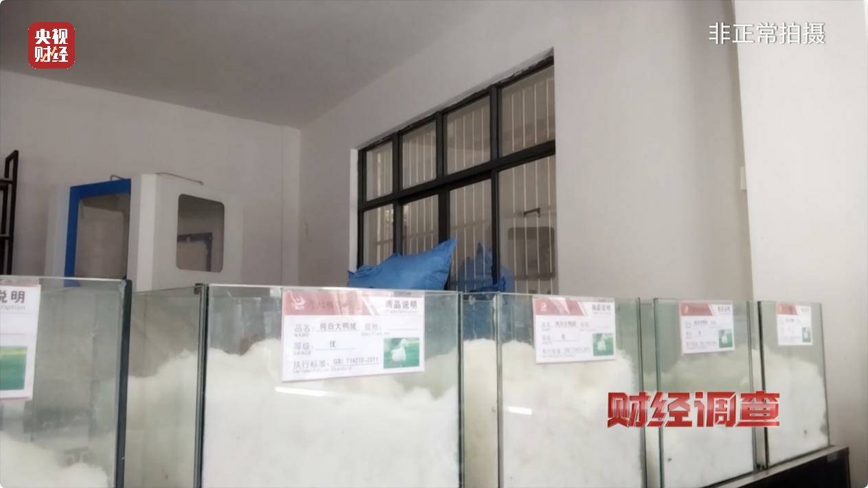 皇冠信用账号怎么开_以“丝”代“绒”皇冠信用账号怎么开,以次充好!央视《财经调查》揭开羽绒服里的骗局→