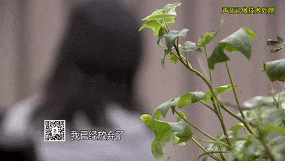 Crown Sports Registration
_上海主妇在家遇害Crown Sports Registration
,终于破案!凶手竟假扮丈夫领导,看了《东方110》后慌了
