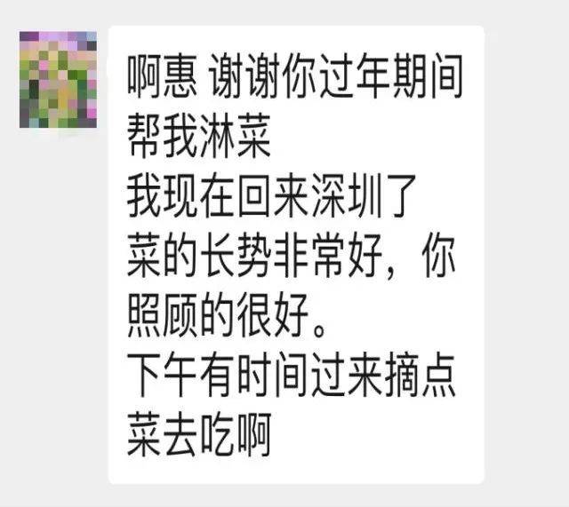 皇冠信用网出租代理_深圳一市民回乡皇冠信用网出租代理,菜地无人打理,网格员:放心回去过年