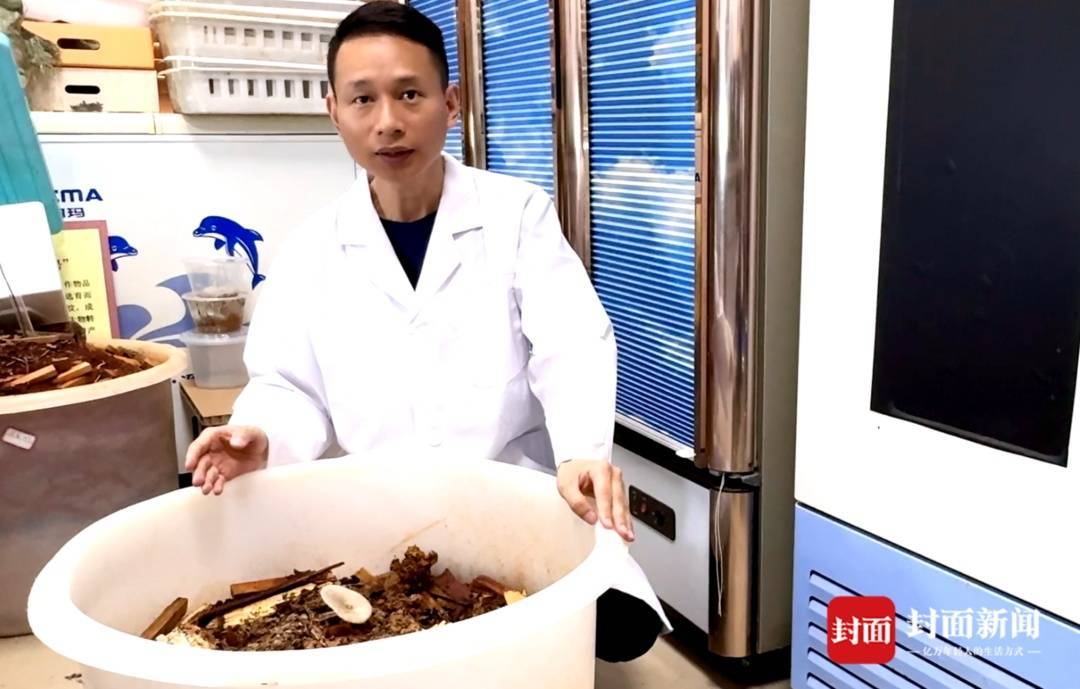信用盘如何申请
_价格腰斩信用盘如何申请
!四川人即将实现鸡枞菌自由