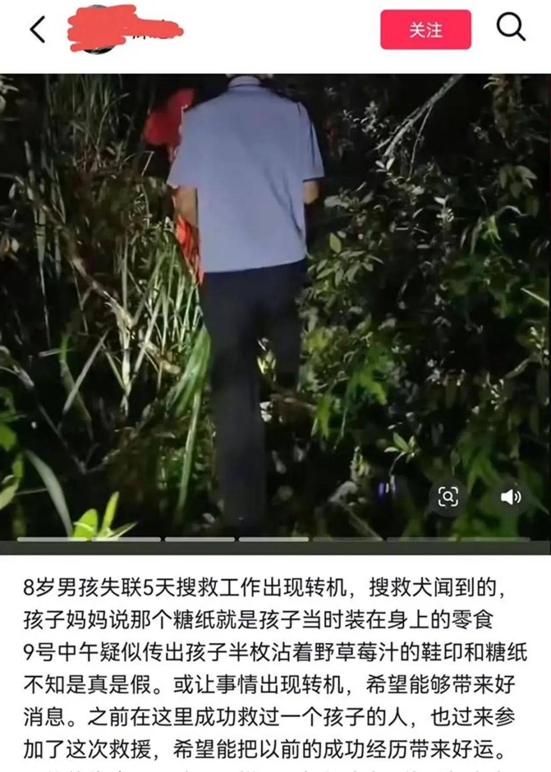 信用平台出租
_2只搜救犬受伤信用平台出租
!发现福建8岁失踪男孩的脚印和糖纸?搜救人员回应