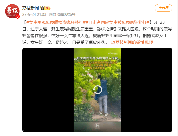 皇冠皇冠足球平台
_视频曝光!大连一女子在市区内遭母鹿疯狂扑打皇冠皇冠足球平台
,知情人称疑因拍刚出生小鹿,当地:已贴告示提醒,择机将鹿迁移回山里