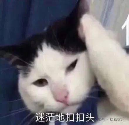 皇冠代理联系方式_离婚三年又被拍到亲密逛超市皇冠代理联系方式,他俩这是纯带娃还是真复合了?