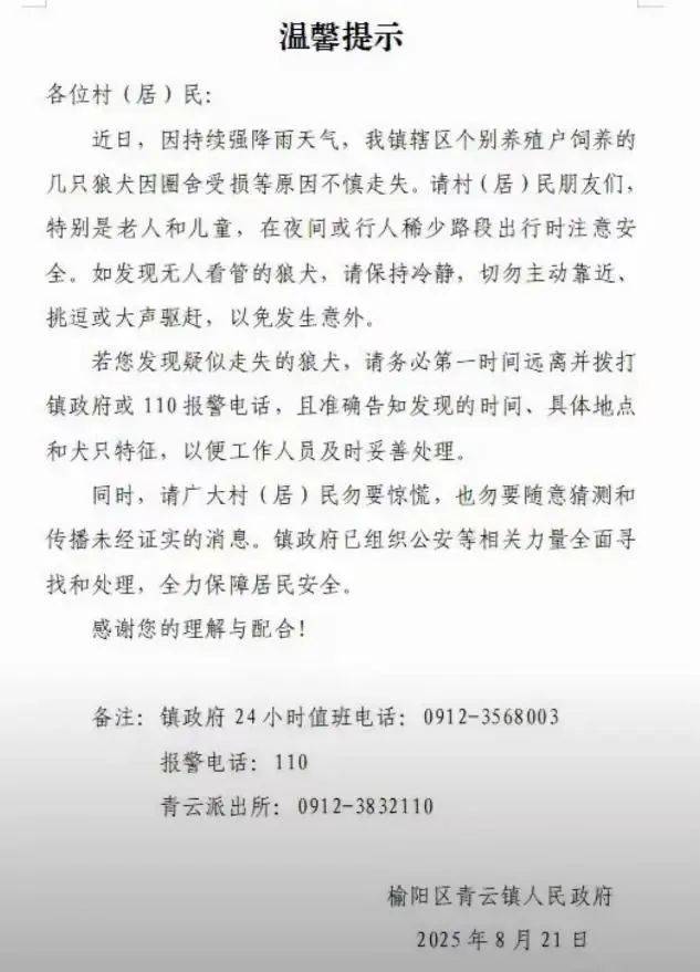 水户蜀葵vs山口雷法_陕西一镇上有狼外逃?当地回应:是狼犬水户蜀葵vs山口雷法,已击毙21只,还有一两只在逃