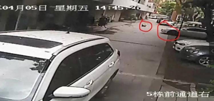皇冠信用网APP下载_特斯拉碾压幼童案二审维持原判皇冠信用网APP下载,车主获刑10个月 车主:将考虑上诉