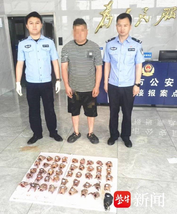 皇冠信用盘正网
_每天下班“弹弓打鸟”皇冠信用盘正网
,冰箱内“攒”44只待食,“馋嘴男”涉刑事犯罪